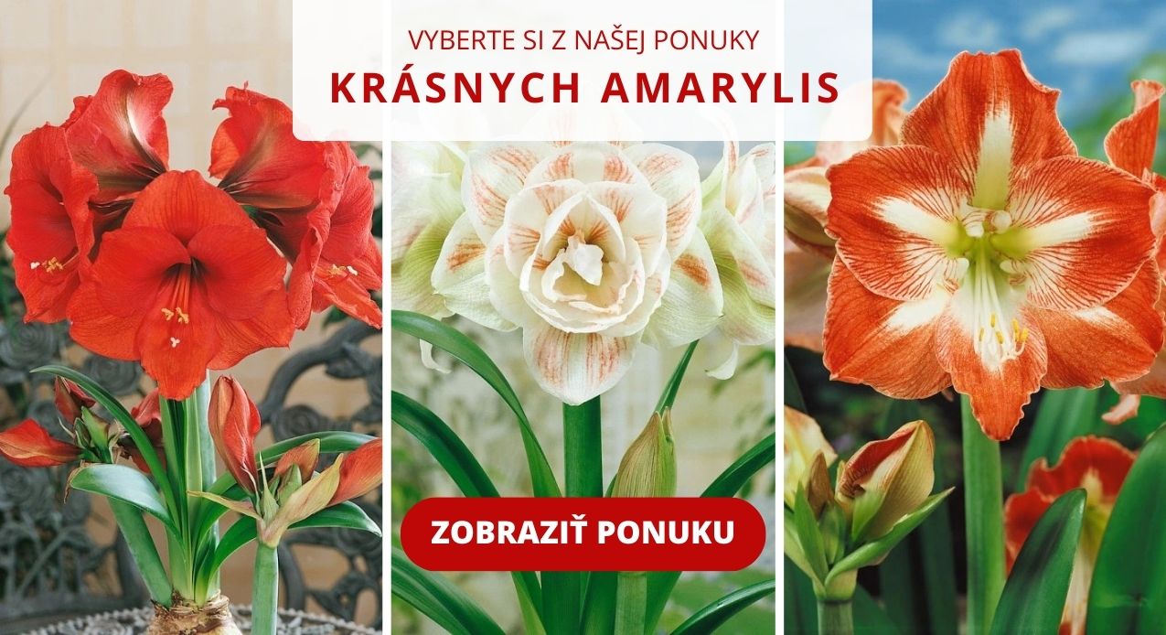 banner články (3)